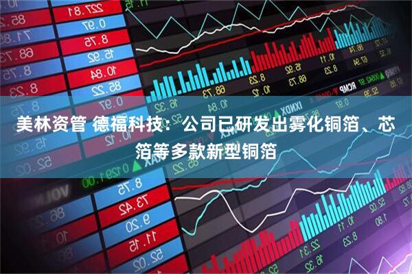美林资管 德福科技：公司已研发出雾化铜箔、芯箔等多款新型铜箔