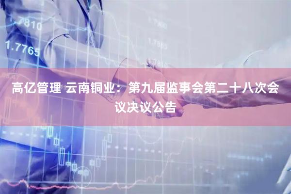高亿管理 云南铜业：第九届监事会第二十八次会议决议公告