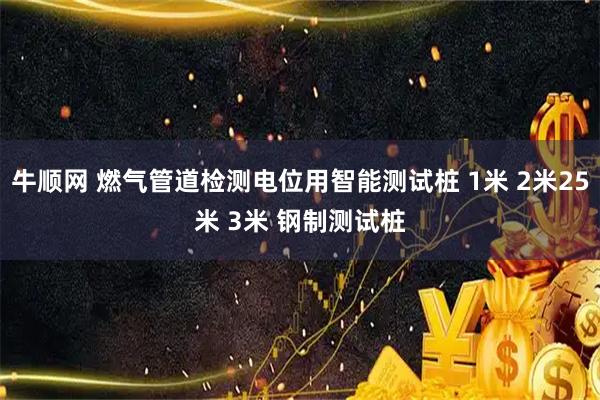牛顺网 燃气管道检测电位用智能测试桩 1米 2米25米 3米 钢制测试桩